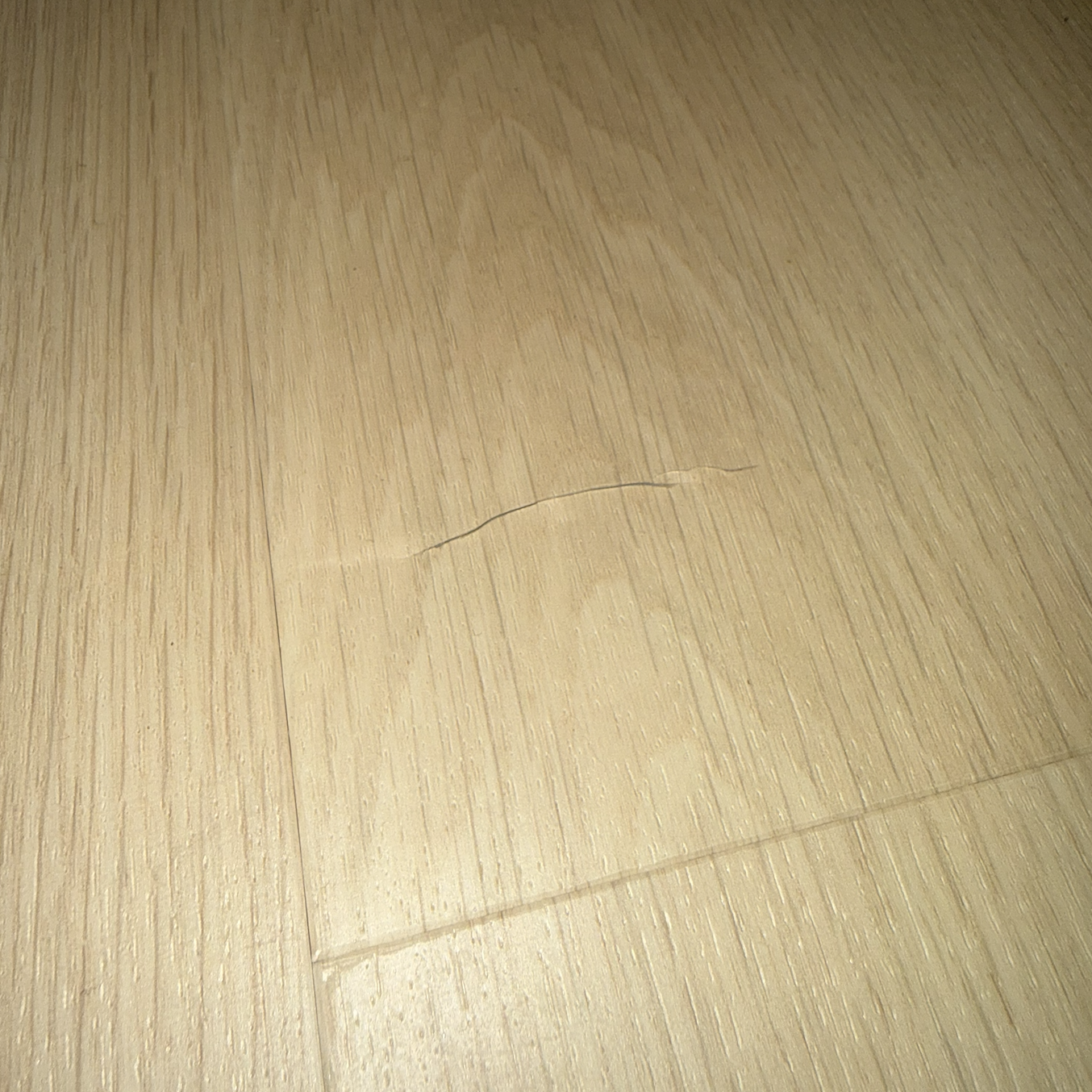 Rommel achtergelaten door legger